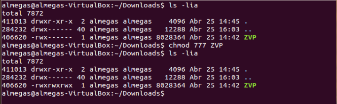 terminal_linux